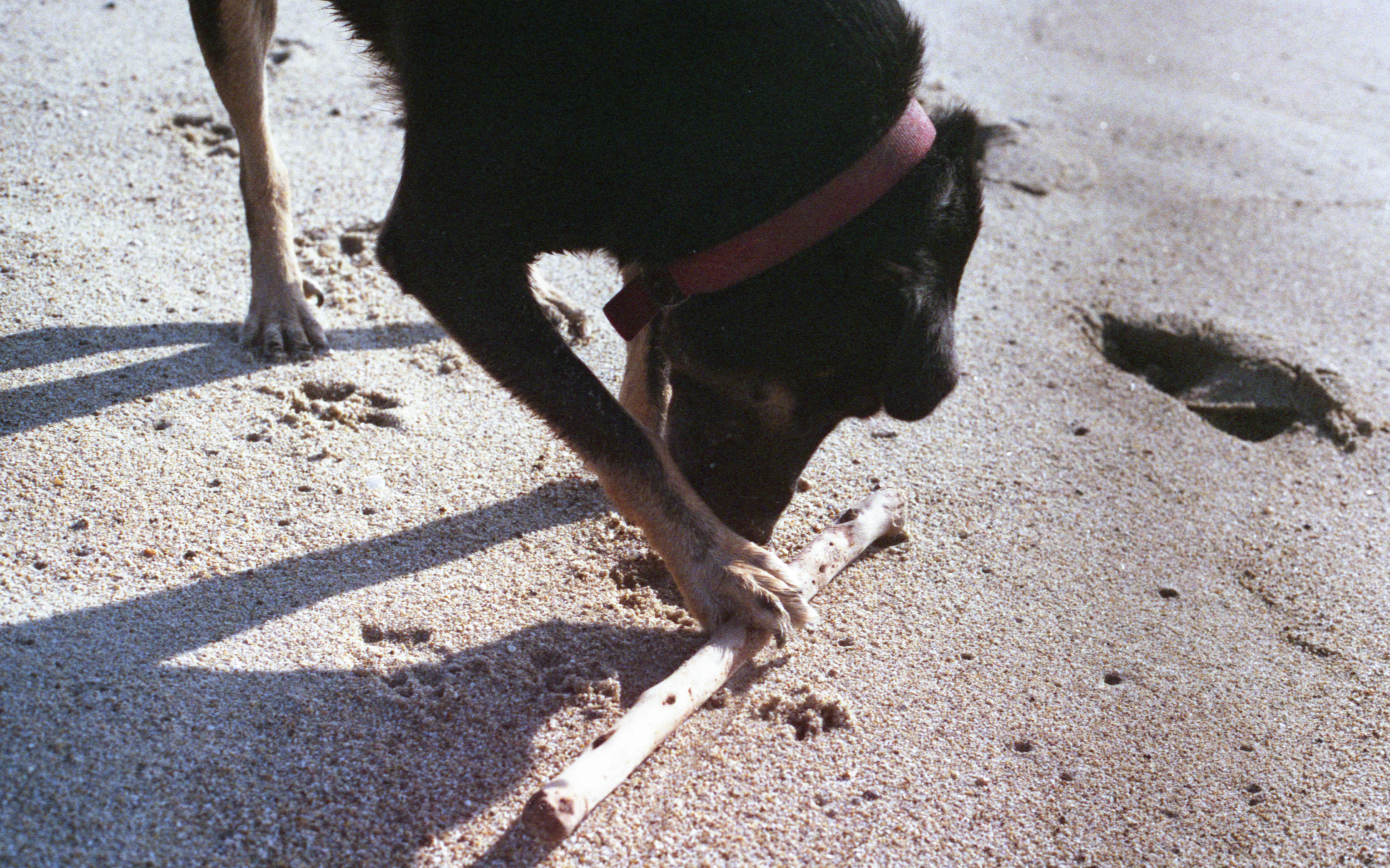 Image 15